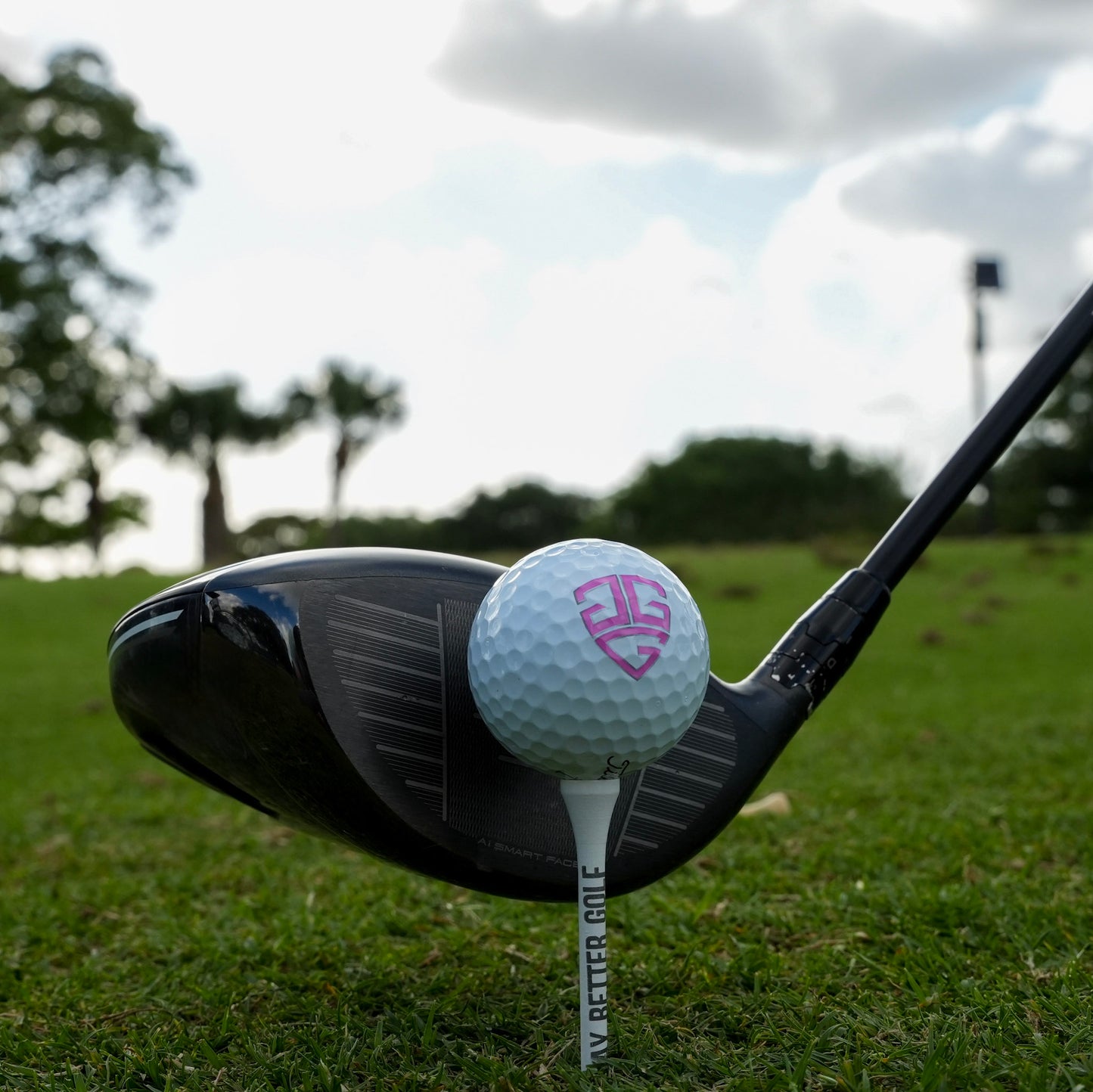 Play Better Golf Tees